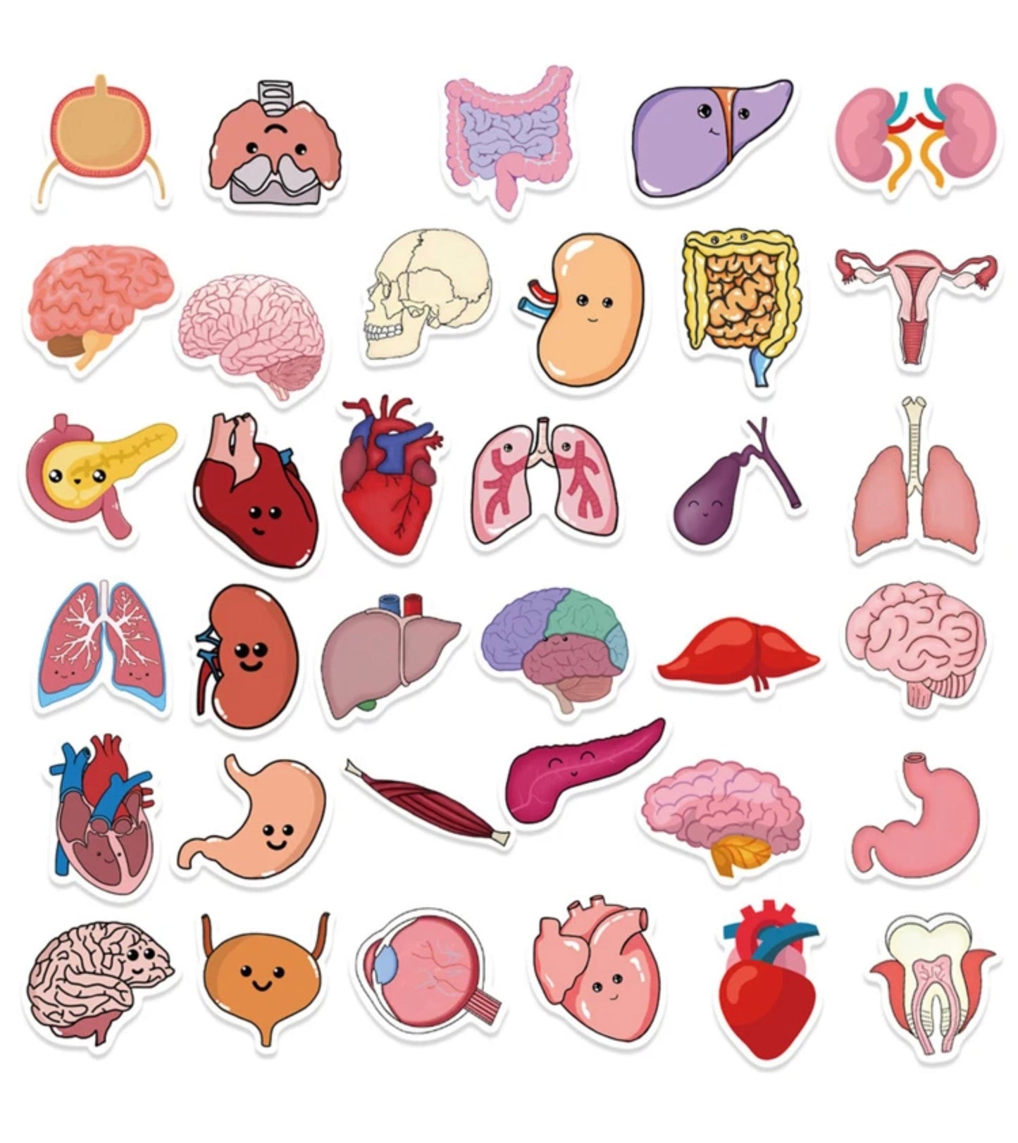 50 Cute Organs Stickers 2