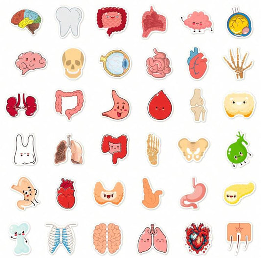 50 Cute Organs Stickers