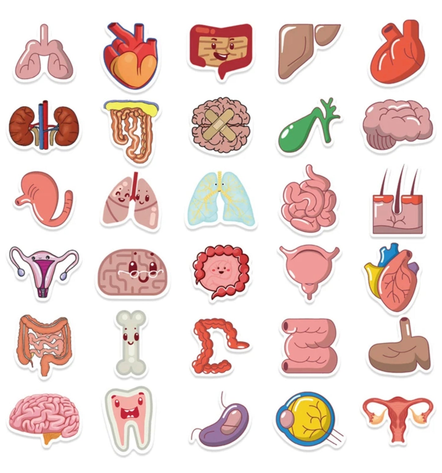 50 Cute Organs Stickers 2