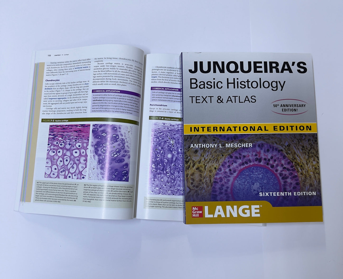 JUNQUEIRA'S Basic Histology TEXT & ATLAS 50th ANNIVERSARY EDITION! INTERNATIONAL EDITION