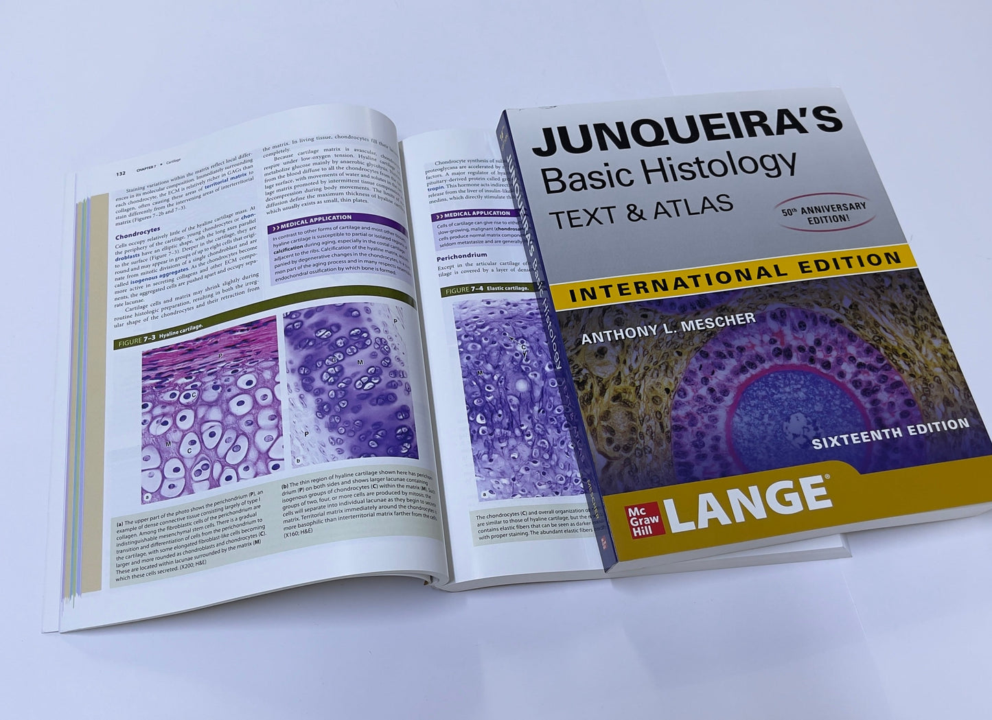 JUNQUEIRA'S Basic Histology TEXT & ATLAS 50th ANNIVERSARY EDITION! INTERNATIONAL EDITION