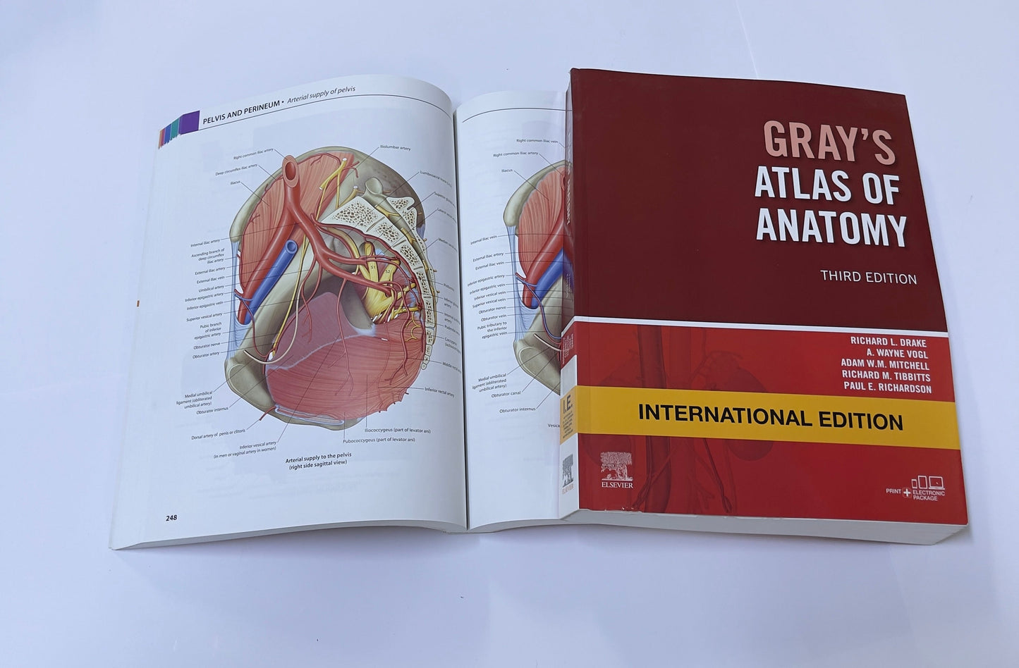 GRAY'S ATLAS OF ANATOMY THIRD EDITION - International Edition