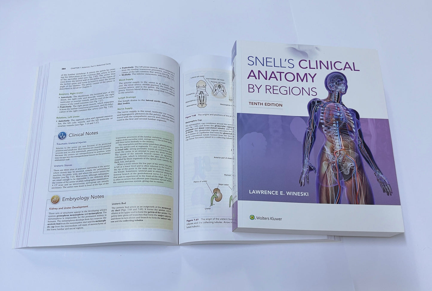 SNELL'S CLINICAL ANATOMY BY REGIONS TENTH EDITION