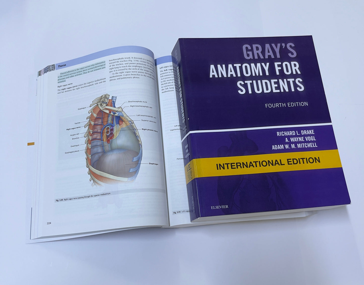 GRAY'S ANATOMY FOR STUDENTS FOURTH EDITION - International Edition