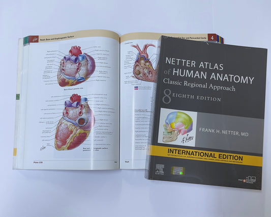 NETTER ATLAS of HUMAN ANATOMY Classic Regional Approach 8 - International Edition