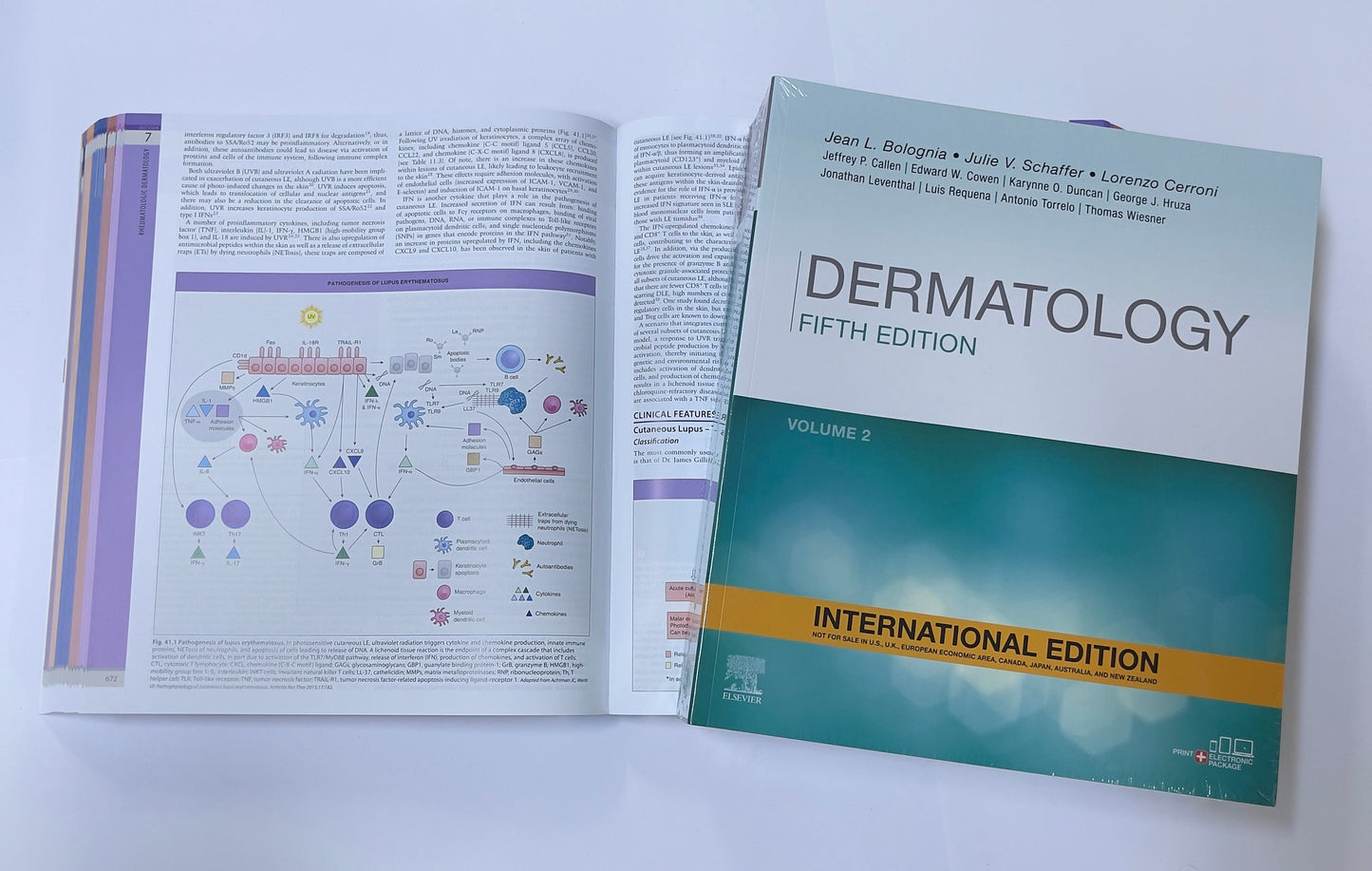 DERMATOLOGY FIFTH EDITION VOLUME 2 - International Edition